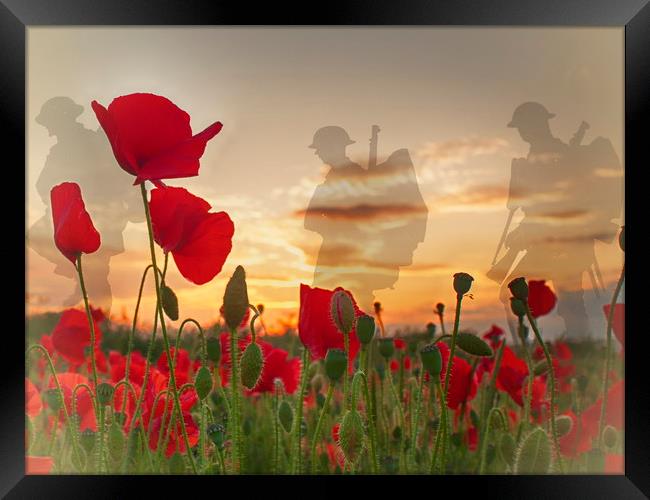 Remembrance Framed Print by Phil Clements