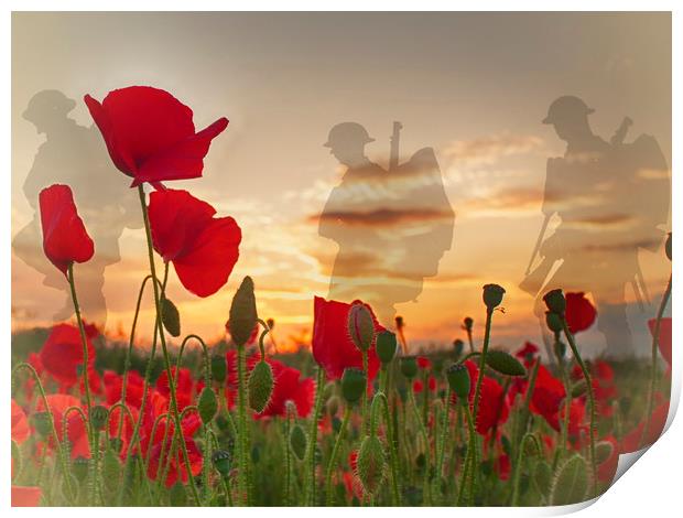 Remembrance Print by Phil Clements