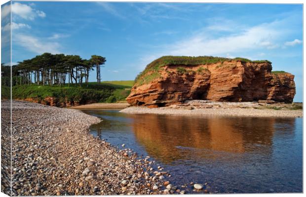 Budleigh Reflections                      Canvas Print by Darren Galpin