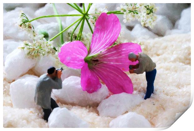 Miniature landscape - pink flower  Print by Dagmar Giers