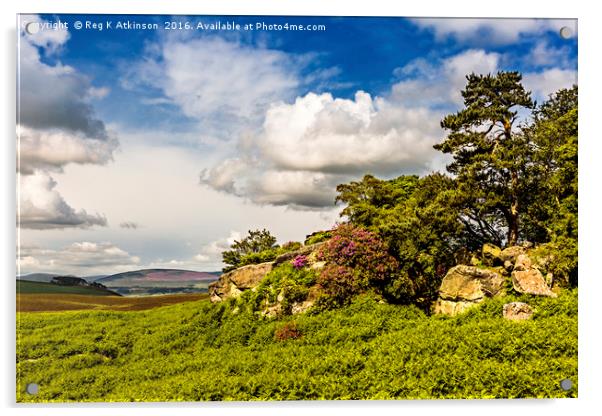 Cheviots From The Old Fort Acrylic by Reg K Atkinson