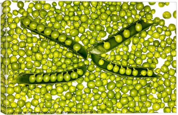 fresh green peas Canvas Print by Massimo Lama