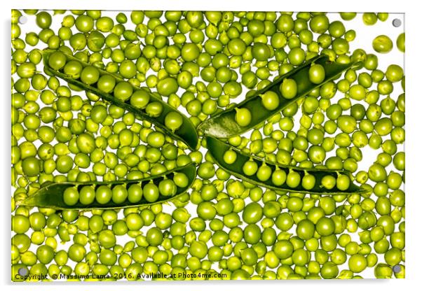 fresh green peas Acrylic by Massimo Lama