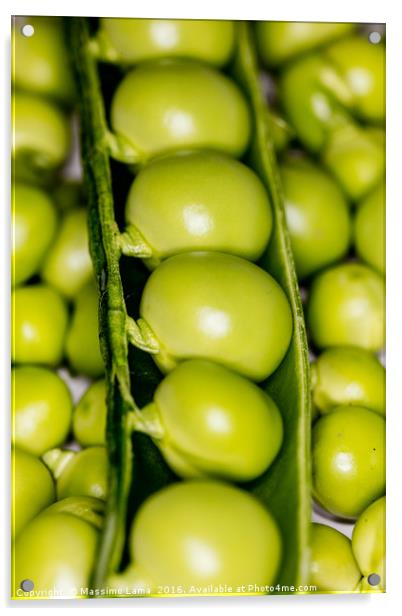 fresh green peas Acrylic by Massimo Lama