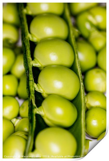 fresh green peas Print by Massimo Lama