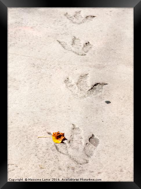 Dinosaur footprints Framed Print by Massimo Lama