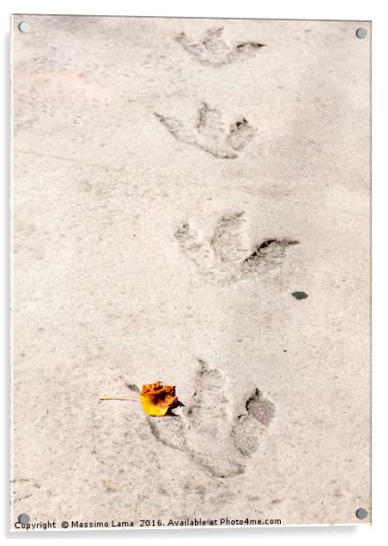 Dinosaur footprints Acrylic by Massimo Lama