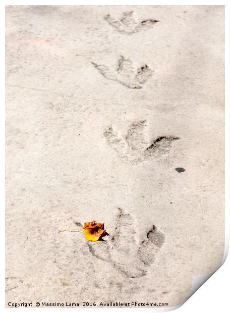 Dinosaur footprints Print by Massimo Lama