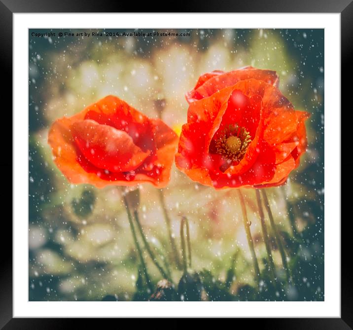Winter Poppies Framed Mounted Print by Fine art by Rina