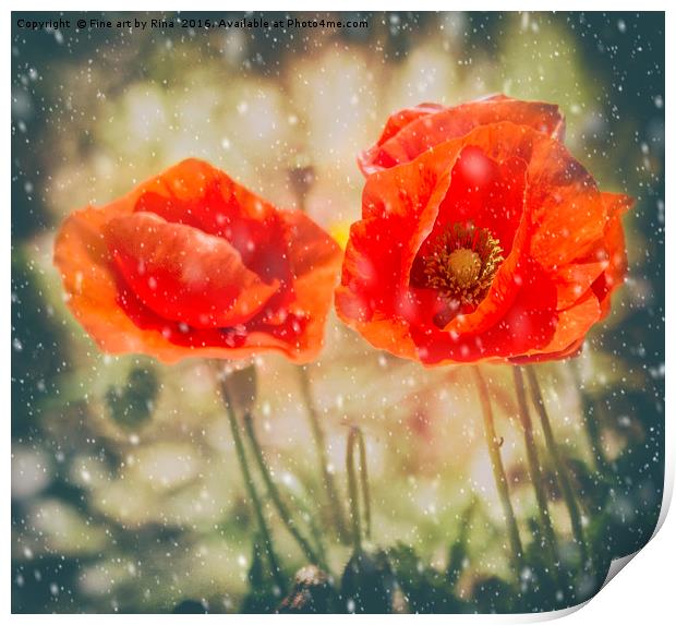 Winter Poppies Print by Fine art by Rina