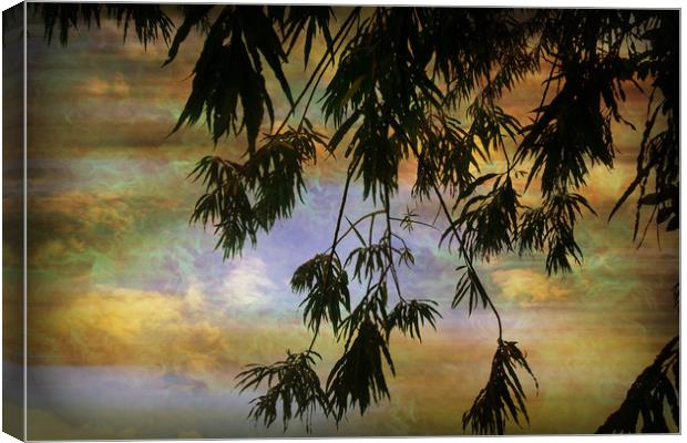 Balmy Evening. Canvas Print by Heather Goodwin