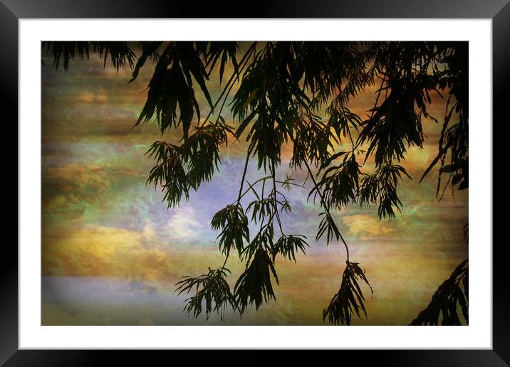 Balmy Evening. Framed Mounted Print by Heather Goodwin