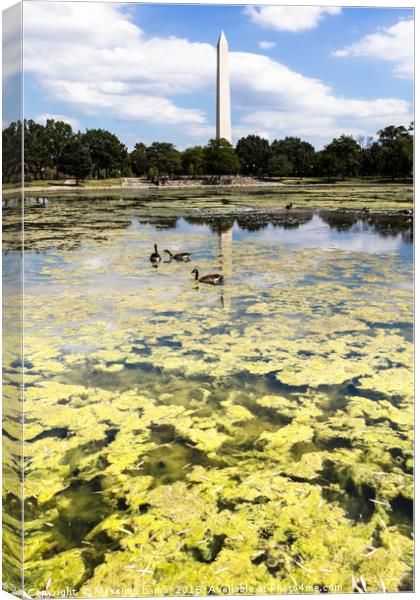 Obelisk from a pool Canvas Print by Massimo Lama