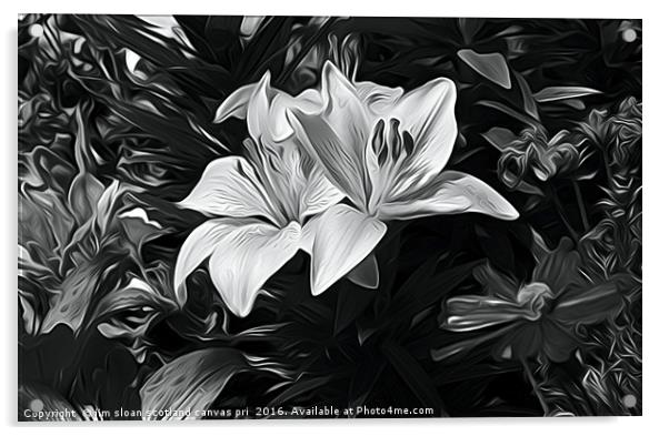Painted Lily Acrylic by jim scotland fine art