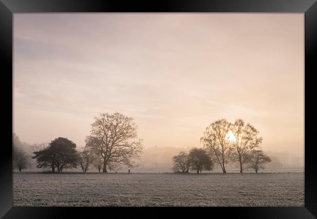 Sunrise through fog on a frosty morning. Santon Do Framed Print by Liam Grant