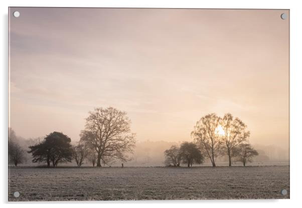 Sunrise through fog on a frosty morning. Santon Do Acrylic by Liam Grant