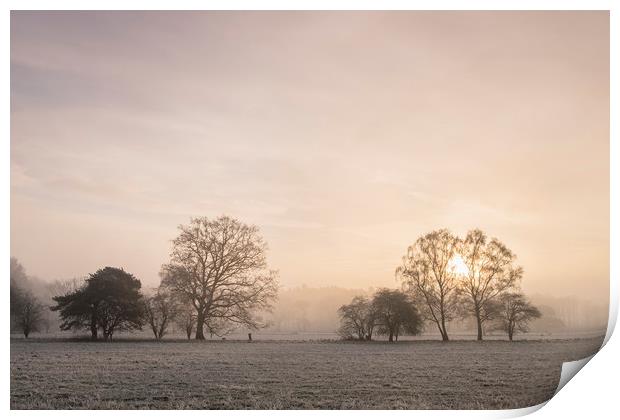 Sunrise through fog on a frosty morning. Santon Do Print by Liam Grant