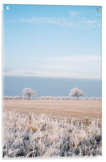 Rural scene covered in a thick hoar frost. Norfolk Acrylic by Liam Grant