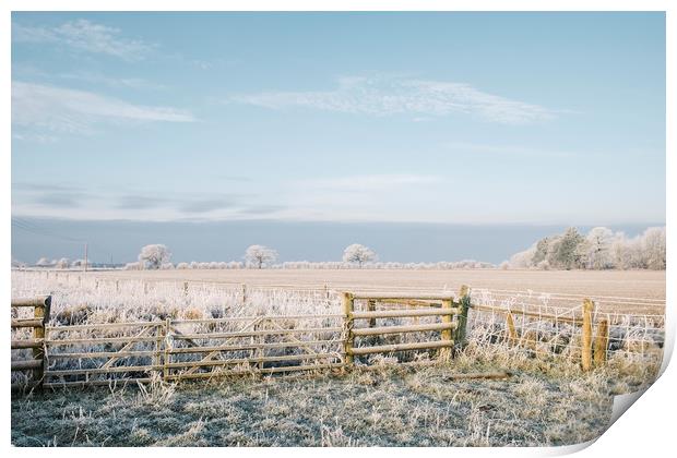 Rural scene covered in a thick hoar frost. Norfolk Print by Liam Grant