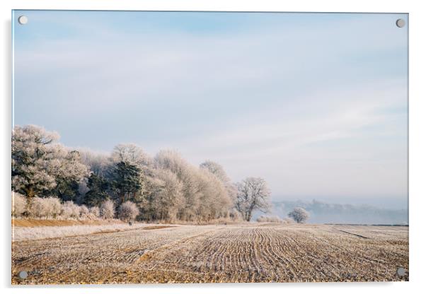 Rural scene covered in a thick hoar frost. Norfolk Acrylic by Liam Grant