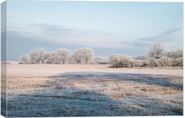 Rural scene covered in a thick hoar frost. Norfolk Canvas Print by Liam Grant