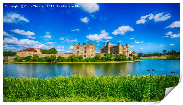 Leeds Castle and Swans Print by Chris Thaxter