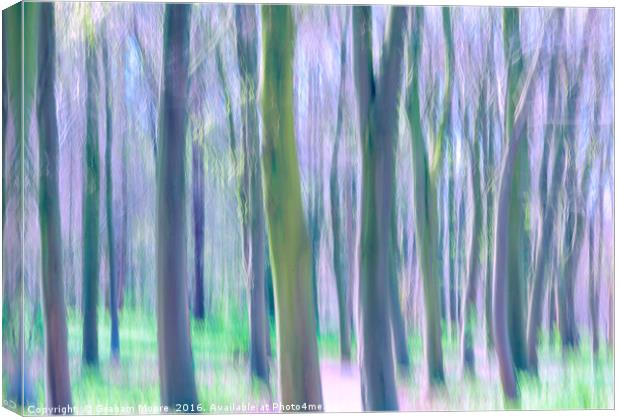 Trees Canvas Print by Graham Moore