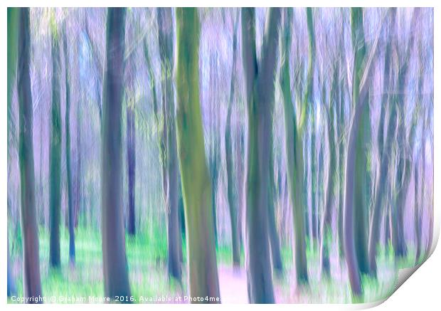Trees Print by Graham Moore