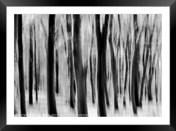 Trees Framed Mounted Print by Graham Moore