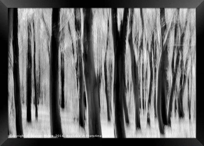 Trees Framed Print by Graham Moore