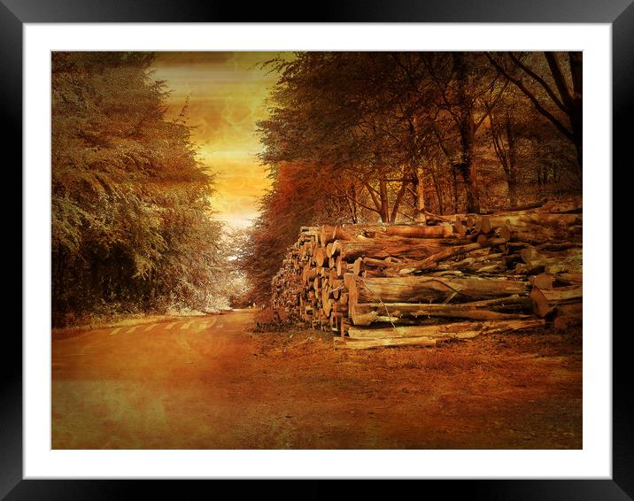 Woodcraft in  Avon Forest. Framed Mounted Print by Heather Goodwin