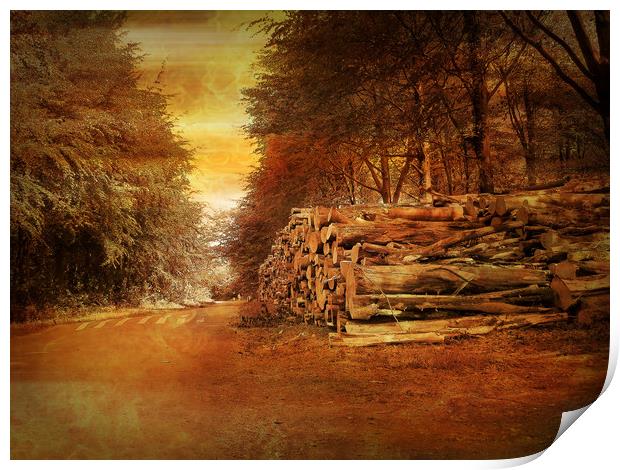 Woodcraft in  Avon Forest. Print by Heather Goodwin