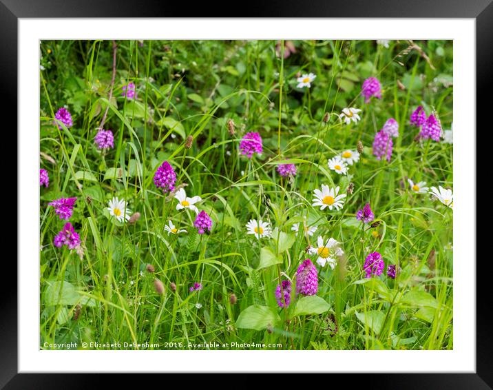 A Verge of Orchids and Ox-eye Daisies Framed Mounted Print by Elizabeth Debenham