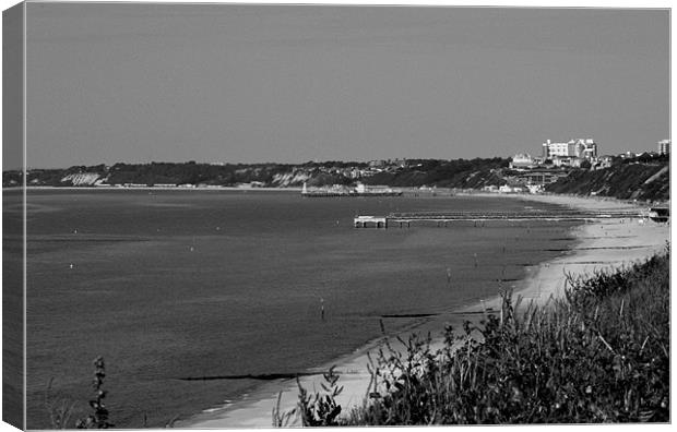 Poole Bay and beaches in black and white Canvas Print by Chris Day