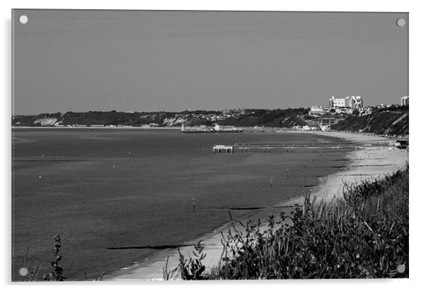 Poole Bay and beaches in black and white Acrylic by Chris Day