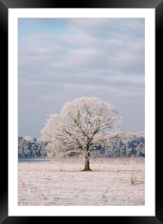 Tree covered in a thick hoar frost. Norfolk, UK. Framed Mounted Print by Liam Grant