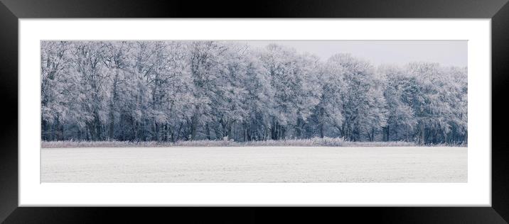 Edge of a woodland covered in a thick hoar frost.  Framed Mounted Print by Liam Grant