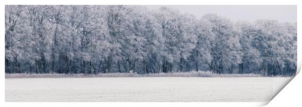 Edge of a woodland covered in a thick hoar frost.  Print by Liam Grant