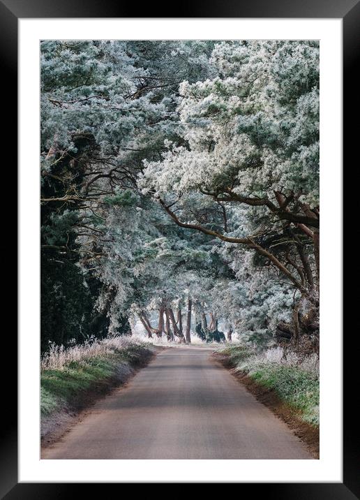 Hoar frost covered trees lining a rural road. Norf Framed Mounted Print by Liam Grant