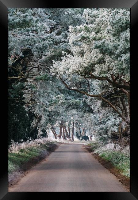 Hoar frost covered trees lining a rural road. Norf Framed Print by Liam Grant