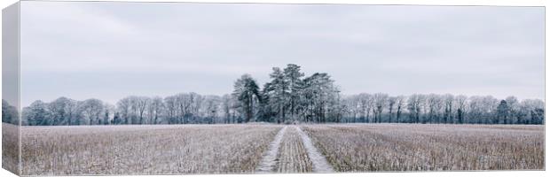Rural scene covered in a thick hoar frost. Norfolk Canvas Print by Liam Grant