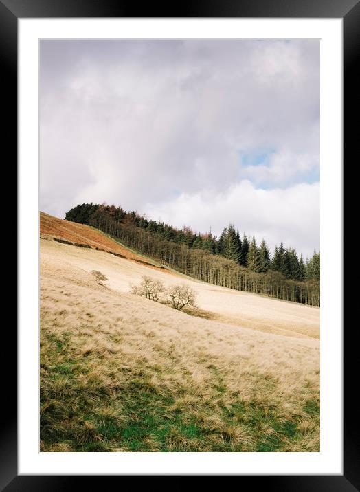 Trees on a sunlit hillside. Derbyshire, UK. Framed Mounted Print by Liam Grant