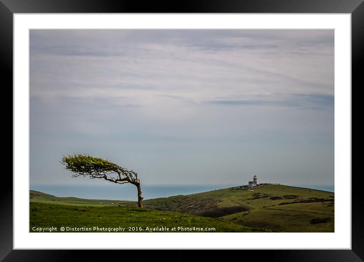 Windswept Framed Mounted Print by Distortion Photography