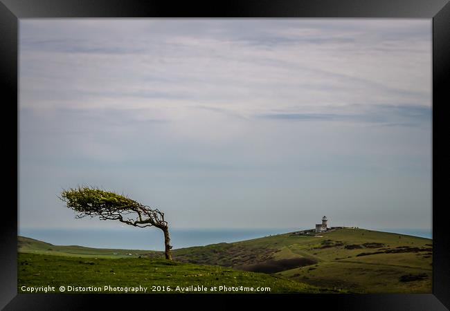 Windswept Framed Print by Distortion Photography