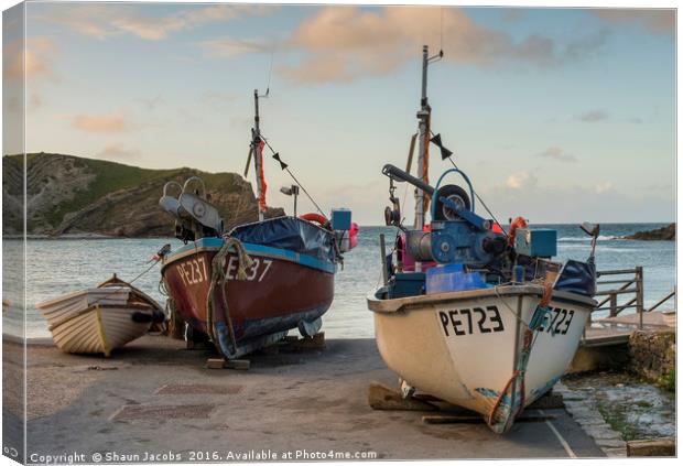 Fishing boats on Lulworth cove  Canvas Print by Shaun Jacobs