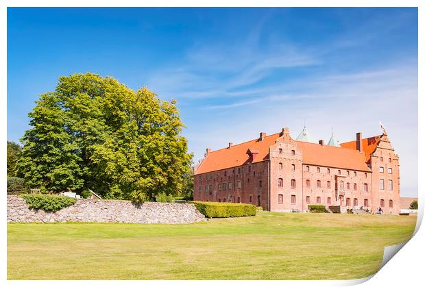 Skarhult Castle Print by Antony McAulay