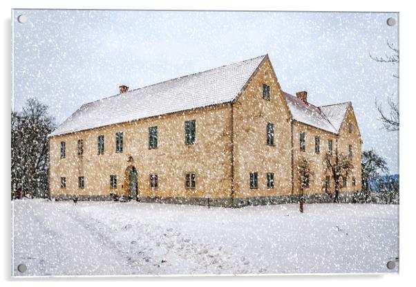 Tommarps Kungsgard Castle in Winter Acrylic by Antony McAulay