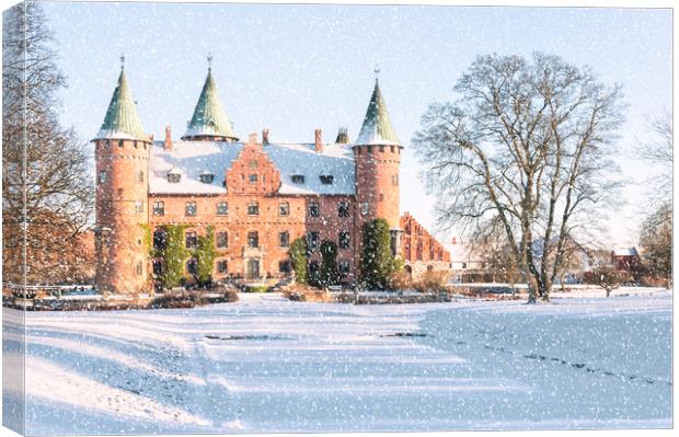 Trolleholm Castle in the Snow Canvas Print by Antony McAulay