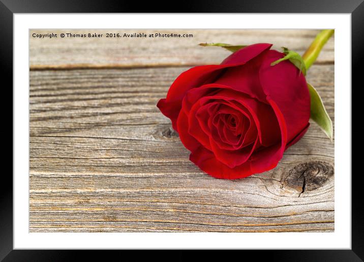 Single freshly cut red rose on rustic wood  Framed Mounted Print by Thomas Baker