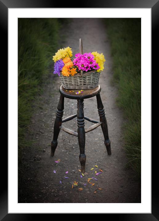 Basket of Flowers Framed Mounted Print by Svetlana Sewell
